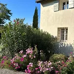Il Glicine - Natural