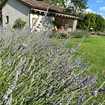Bed & Breakfast Il Glicine - Natural Castello Di Godego