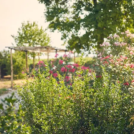 Bed & Breakfast Il Glicine - Natural