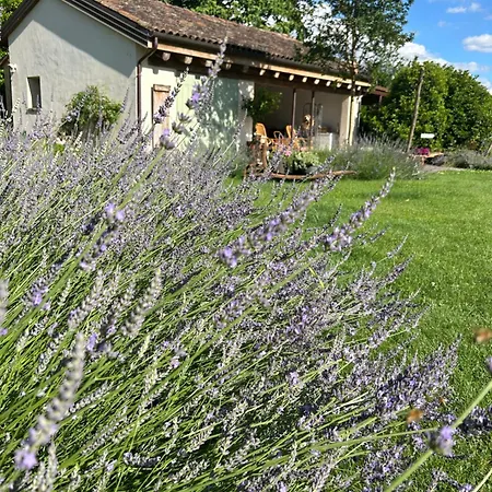 Bed & Breakfast Il Glicine - Natural Castello Di Godego