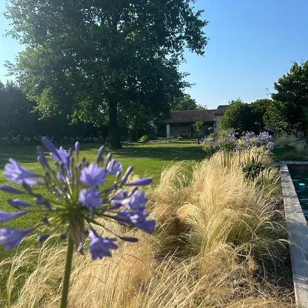 Bed & Breakfast Il Glicine - Natural 4*