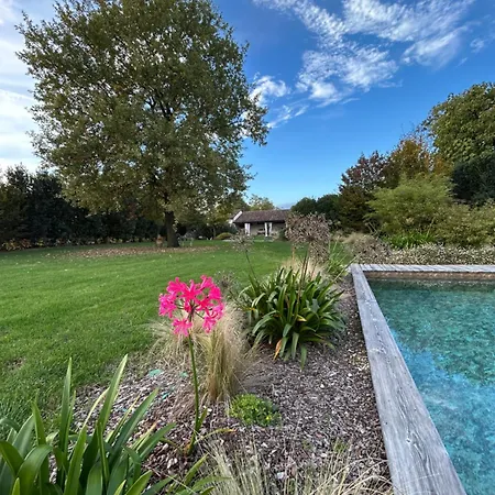 Il Glicine - Natural Bed & Breakfast Castello Di Godego