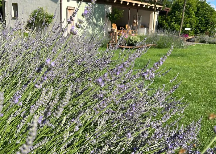 Bed & Breakfast Il Glicine - Natural Castello Di Godego