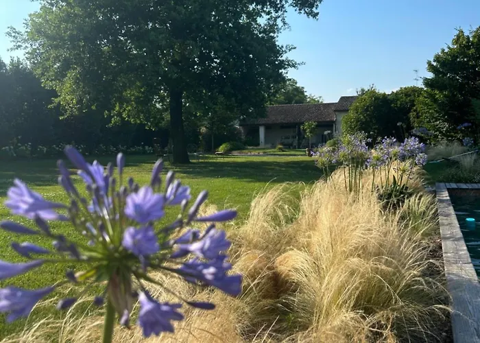 Bed & Breakfast Il Glicine - Natural 4*