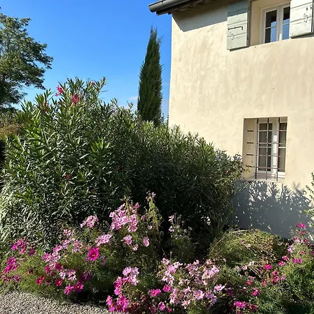 Il Glicine - Natural