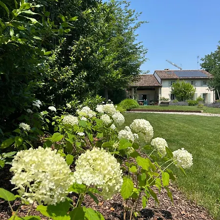 Bed & Breakfast Il Glicine - Natural Castello Di Godego